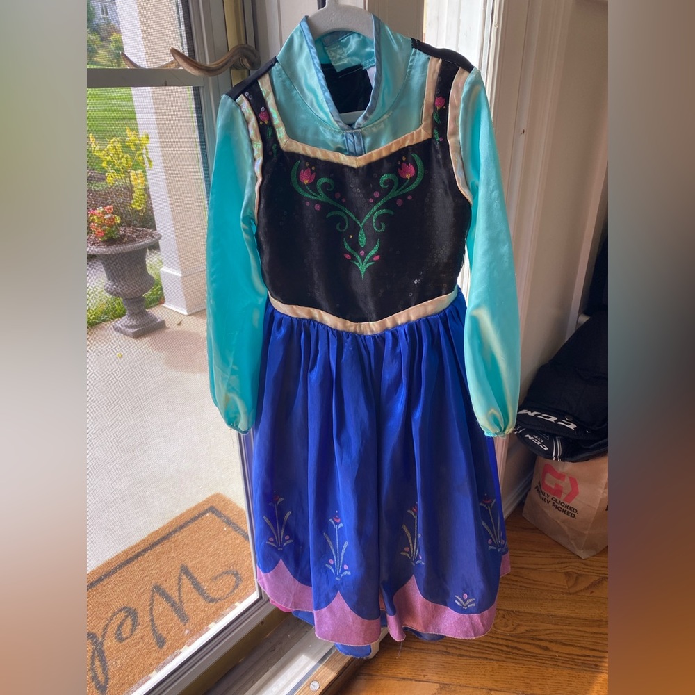 Disney Store costume- Anna